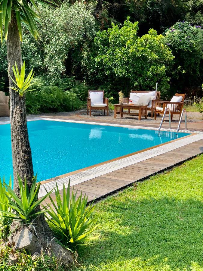 Gialos Villas 1-2 With A Private Pool Микрос Гиалос Екстериор снимка